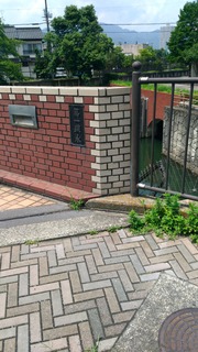 写真1.jpg