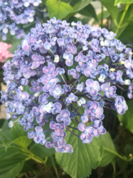 写真3.png