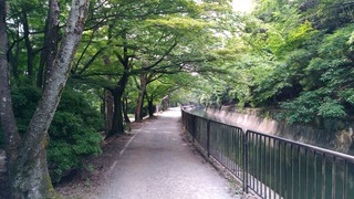 写真6.jpg