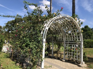 IMG_0166.JPG